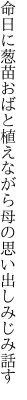 命日に葱苗おばと植えながら 母の思い出しみじみ話す