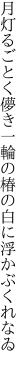 月灯るごとく儚き一輪の 椿の白に浮かぶくれなゐ