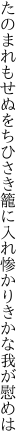 たのまれもせぬをちひさき籠に入れ 惨かりきかな我が慰めは