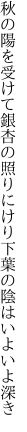 秋の陽を受けて銀杏の照りにけり 下葉の陰はいよいよ深き