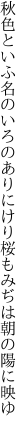 秋色といふ名のいろのありにけり 桜もみぢは朝の陽に映ゆ