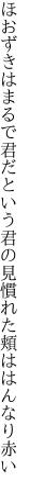 ほおずきはまるで君だという君の 見慣れた頬ははんなり赤い