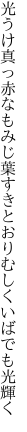光うけ真っ赤なもみじ葉すきとおり むしくいばでも光輝く