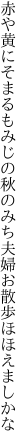 赤や黄にそまるもみじの秋のみち 夫婦お散歩ほほえましかな