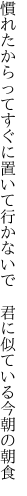 慣れたからってすぐに置いて行かないで 　君に似ている今朝の朝食