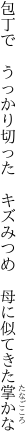 包丁で　うっかり切った　キズみつめ 　母に似てきた掌かな