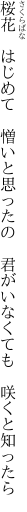 桜花　はじめて　憎いと思ったの 　君がいなくても　咲くと知ったら