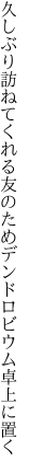 久しぶり訪ねてくれる友のため デンドロビウム卓上に置く