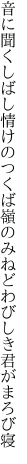 音に聞くしばし情けのつくば嶺の みねどわびしき君がまろび寝