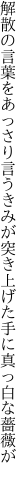 解散の言葉をあっさり言うきみが 突き上げた手に真っ白な薔薇が