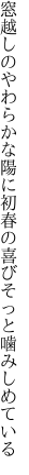 窓越しのやわらかな陽に初春の 喜びそっと噛みしめている