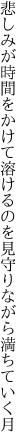 悲しみが時間をかけて溶けるのを 見守りながら満ちていく月