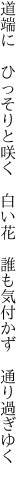 道端に　ひっそりと咲く　白い花 　誰も気付かず　通り過ぎゆく