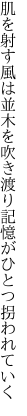 肌を射す風は並木を吹き渡り 記憶がひとつ拐われていく