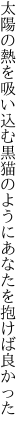 太陽の熱を吸い込む黒猫の ようにあなたを抱けば良かった