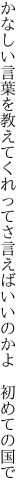 かなしい言葉を教えてくれってさ 言えばいいのかよ　初めての国で