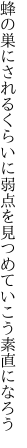 蜂の巣にされるくらいに弱点を 見つめていこう素直になろう