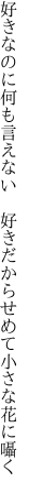 好きなのに何も言えない　好きだから せめて小さな花に囁く