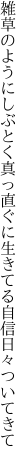 雑草のようにしぶとく真っ直ぐに 生きてる自信日々ついてきて