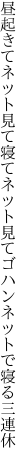 昼起きてネット見て寝てネット見て ゴハンネットで寝る三連休