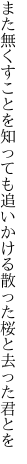 また無くすことを知っても追いかける 散った桜と去った君とを