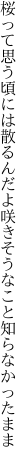 桜って思う頃には散るんだよ 咲きそうなこと知らなかったまま