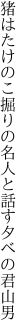 猪はたけのこ掘りの名人と 話す夕べの君山男