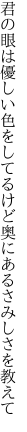 君の眼は優しい色をしてるけど 奥にあるさみしさを教えて