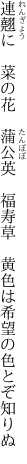 連翹に　菜の花　蒲公英　福寿草　 黄色は希望の色とぞ知りぬ