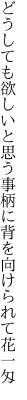 どうしても欲しいと思う事柄に 背を向けられて花一匁