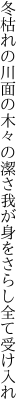 冬枯れの川面の木々の潔さ 我が身をさらし全て受け入れ