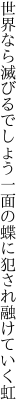 世界なら滅びるでしょう一面の 蝶に犯され融けていく虹