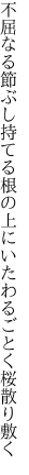 不屈なる節ぶし持てる根の上に いたわるごとく桜散り敷く