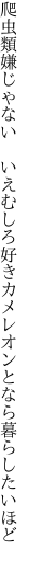 爬虫類嫌じゃない いえむしろ好き カメレオンとなら暮らしたいほど