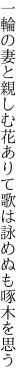 一輪の妻と親しむ花ありて 歌は詠めぬも啄木を思う