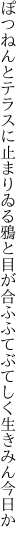 ぽつねんとテラスに止まりゐる鴉と 目が合ふふてぶてしく生きみん今日か