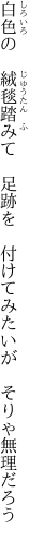 白色の　絨毯踏みて　足跡を 　付けてみたいが　そりゃ無理だろう