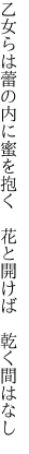 乙女らは蕾の内に蜜を抱く　 花と開けば　乾く間はなし