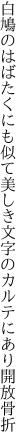 白鳩のはばたくにも似て美しき 文字のカルテにあり開放骨折