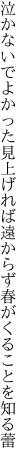 泣かないでよかった見上げれば遠 からず春がくることを知る蕾