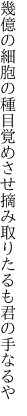 幾億の細胞の種目覚めさせ 摘み取りたるも君の手なるや