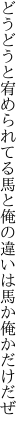 どうどうと宥められてる馬と俺の 違いは馬か俺かだけだぜ