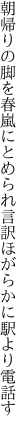 朝帰りの脚を春嵐にとめられ 言訳ほがらかに駅より電話す