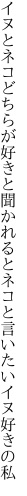 イヌとネコどちらが好きと聞かれると ネコと言いたいイヌ好きの私