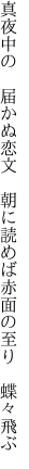 真夜中の 届かぬ恋文 朝に読めば 赤面の至り 蝶々飛ぶ