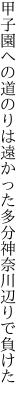 甲子園への道のりは遠かった 多分神奈川辺りで負けた