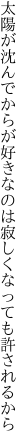 太陽が沈んでからが好きなのは 寂しくなっても許されるから