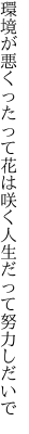 環境が悪くったって花は咲く 人生だって努力しだいで