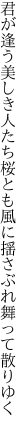 君が逢う美しき人たち桜とも 風に揺さぶれ舞って散りゆく