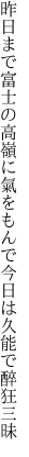 昨日まで富士の高嶺に氣をもんで 今日は久能で醉狂三昧